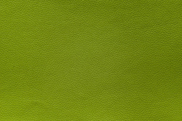 istock Close up asparagus green color skin texture. 1461419745