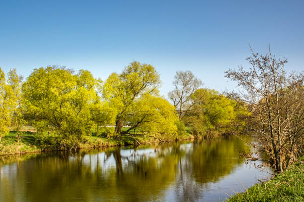 istock A view of a river floodplain. Lined with trees that tower far above the water 1461424718