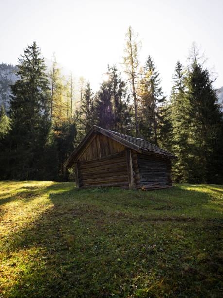 paisaje alpino panorama de rústico antiguo refugio de montaña de madera en el bosque en ehrwald tirol austria alpes europa - austria mountain panoramic ehrwald fotografías e imágenes de stock