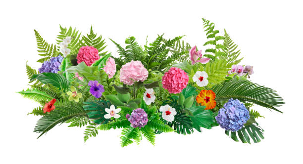 istock Beautiful composition with tropical leaves and flowers on white background 1461426469