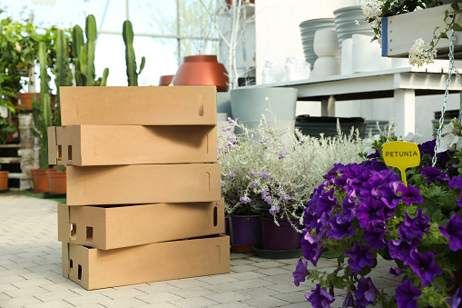 Stack of cardboard boxes and beautiful blooming plants in garden center