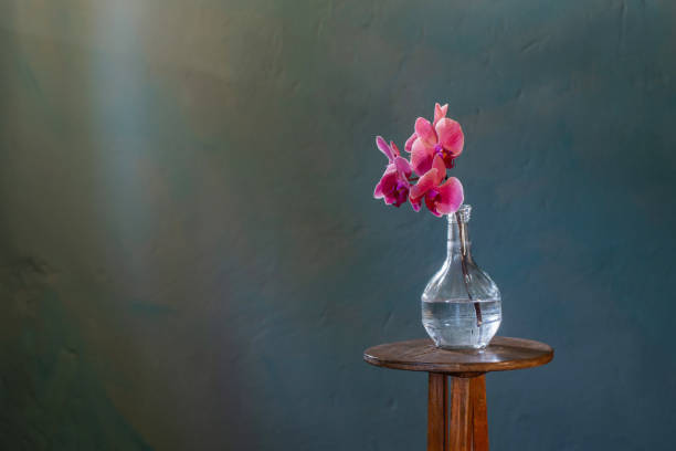 istock pink orchid in glass bottle on dark blue background 1461430547