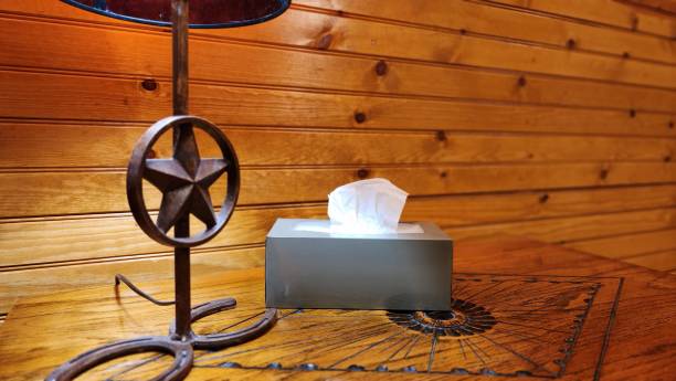 istock Room with western decor.  Box of tissue available for those with winter sniffles. 1461430655