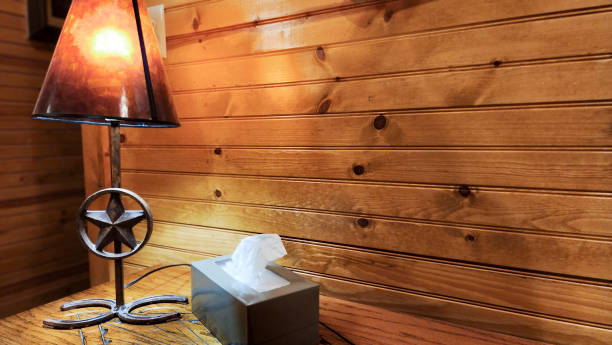 istock Room with western decor.  Box of tissue available for those with winter sniffles. 1461430659
