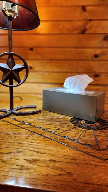 istock Room with western decor.  Box of tissue available for those with winter sniffles. 1461430666