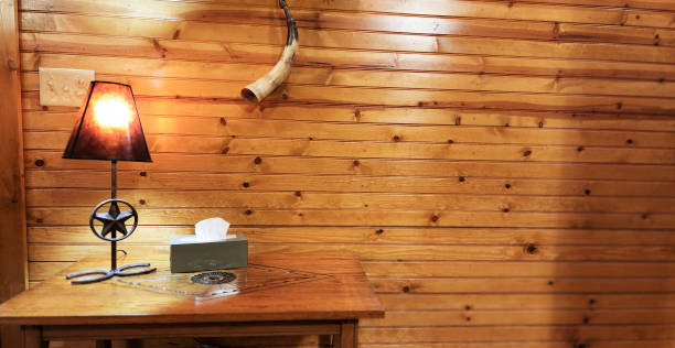 Room with western decor.  Box of tissue available for those with winter sniffles.