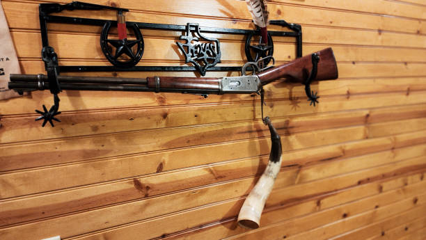Room with western decor.  Box of tissue available for those with winter sniffles.  Gun hanging on wall.  Cow horn made into a noise horn.  Plenty of room for your text.