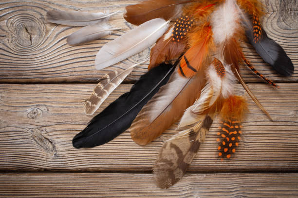 istock color feathers on old wooden background 1461432262
