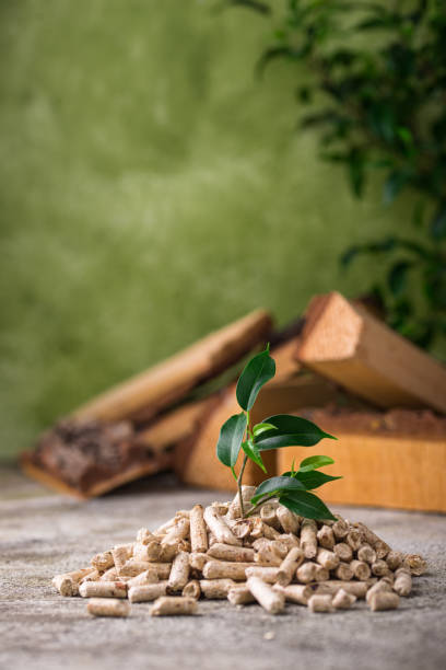 istock Eco fuel wooden pellets with firewood 1461435687