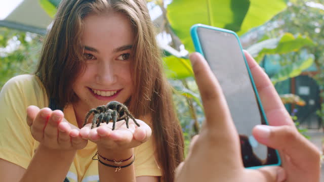 Tarantula, spider and teenager with a mobile phone picture at a animal sanctuary or wildlife zoo. Smile, happiness and brave teen, gen z and friends with a cellphone capture photo for social media