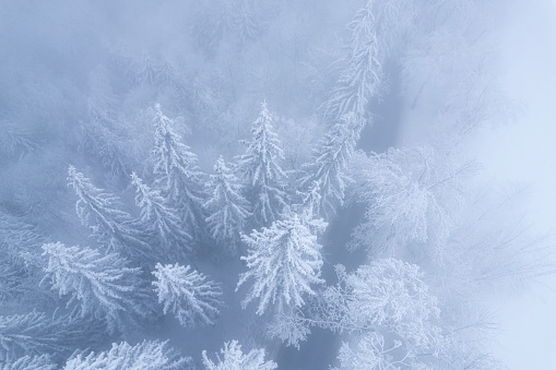 A curved mountain country road in the snowy forest