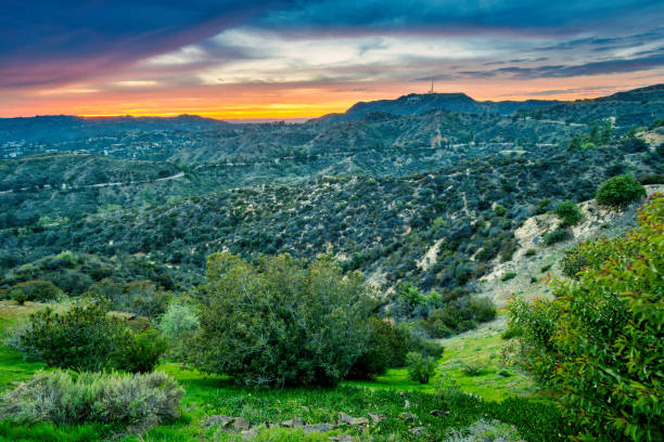 istock Griffith Park Los Angeles California USA Sunset 1461440342