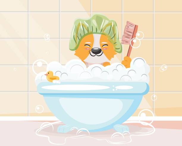 istock Cute corgi in the shower cap bathing with a lot of bubbles and foam. 1461442570