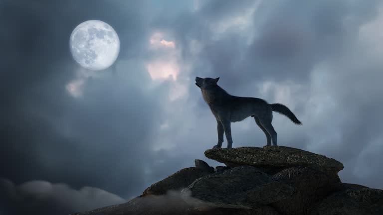 silhouette of wolf howling at the full moon  3d render