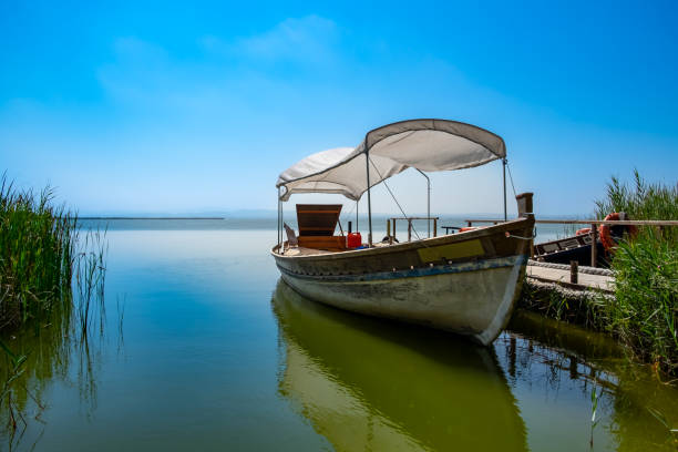 clear sky in la albufera - paya imagens e fotografias de stock