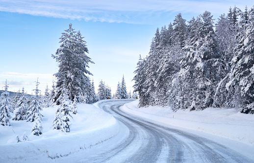 Icy road in a rural area with spruce tree forest.