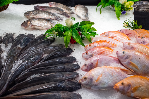 Fresh Fish sea crucian and catfish on ice in the store. Delicious healthy product.