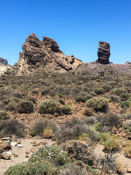 istock Teide at Tenerife Spain. 1461450615
