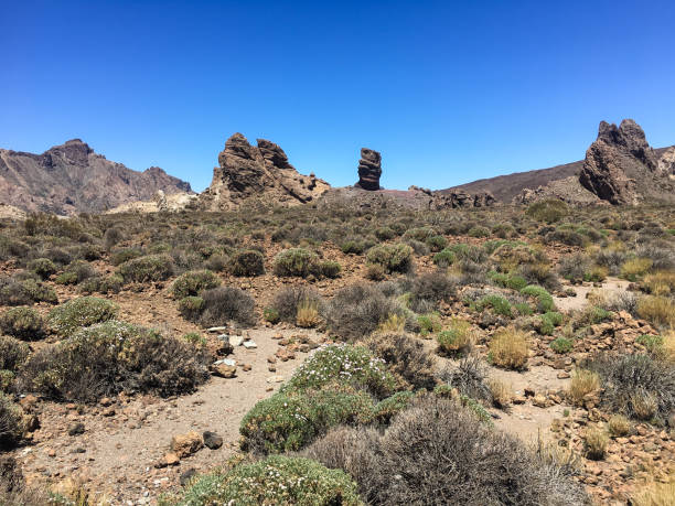 istock Teide at Tenerife Spain. 1461450636
