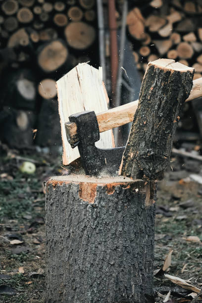 istock Firewood being chopped in pieces by axe 1461453987