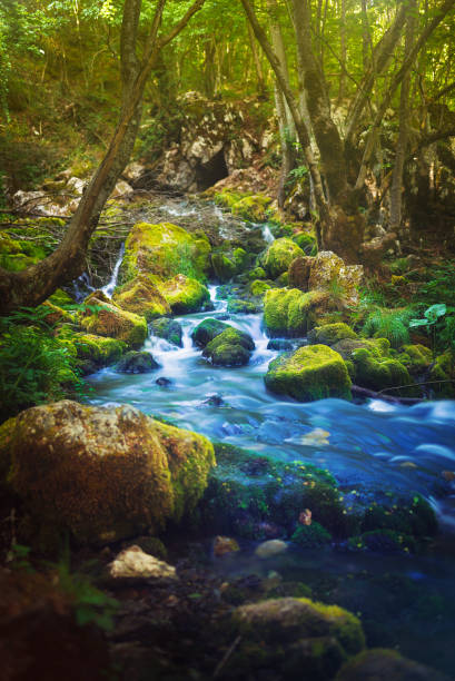 istock Beautiful water stream with waterfalls in nature 1461453996
