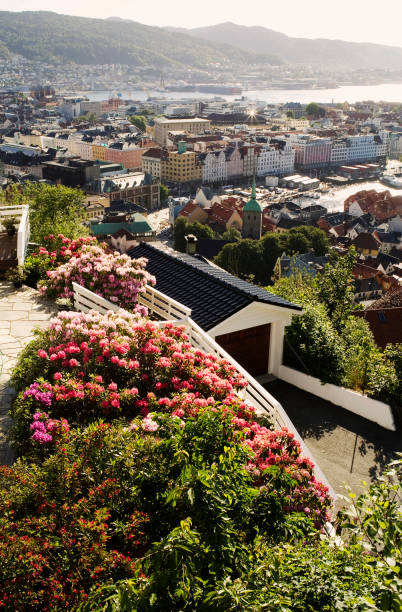 Looking down over the city of Bergen with some flowers in the foreground\n\nOverview of Bergen, Norway