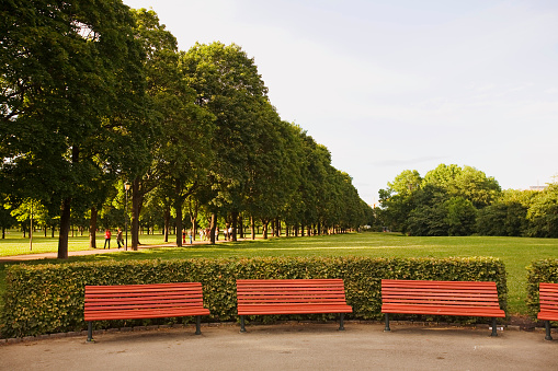 Three red park benches in a public park.