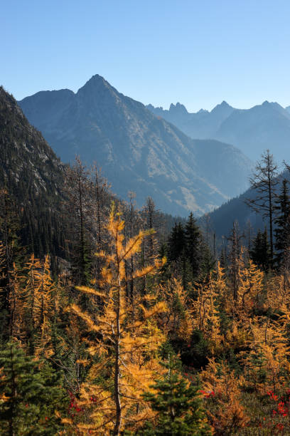 istock North Cascades National Park 1461469604