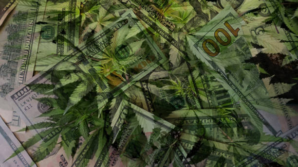 Marijuana Sales Profits stock photo