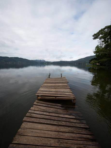 istock Idyllic Amazon rainforest jungle river lake landscape with broken damaged wooden jetty dock pier in Peru South America 1461470655