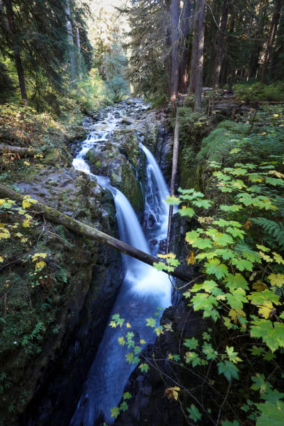 istock Sol Duc Falls Olympic National Park 1461472001