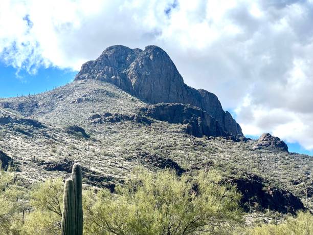 istock Safford Peak in Saguaro National Park, Arizona 1461475408
