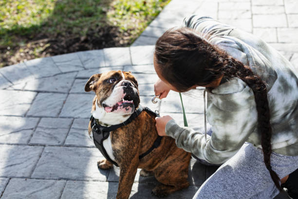 istock Young Asian woman getting ready to take dog on walk 1461475878