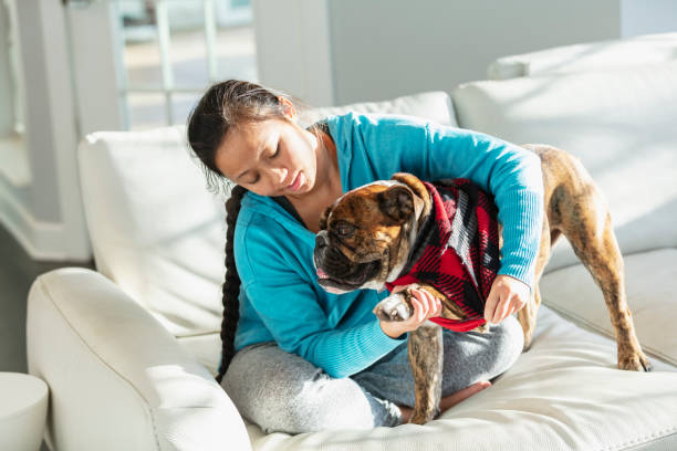 istock Young Asian woman putting sweater on dog 1461476068