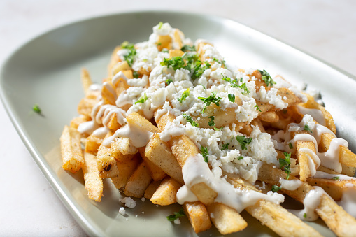 A view of a plate of Greek loaded fries.
