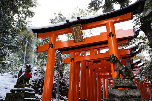 Kyoto, Japan - January 24 2023 : Fushimi Inari-taisha Torii Gates with snow on the roof in winter.