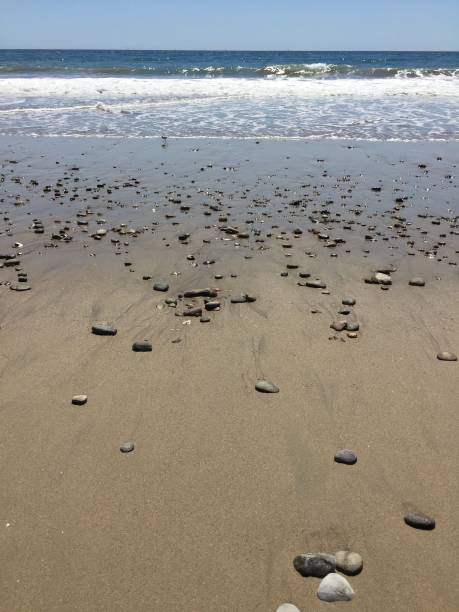 istock Santa Monica beach in all of it's glory 1461489839