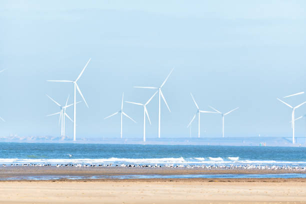istock Windmills in North Sea in Netherlands Wind turbines 1461491169