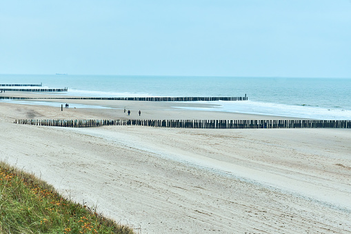 Beach in National park in Netherlands