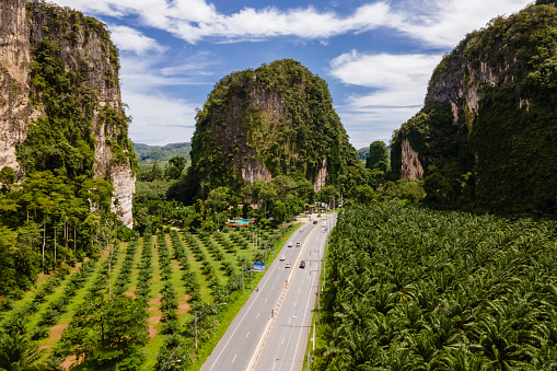 road with limestone cliffs and rocks and a palm oil plantation in Krabi Thailand.