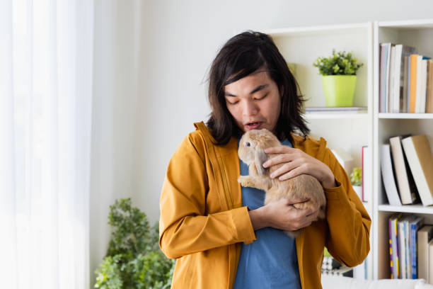 istock Asian man petting his rabbit at home. 1461501613