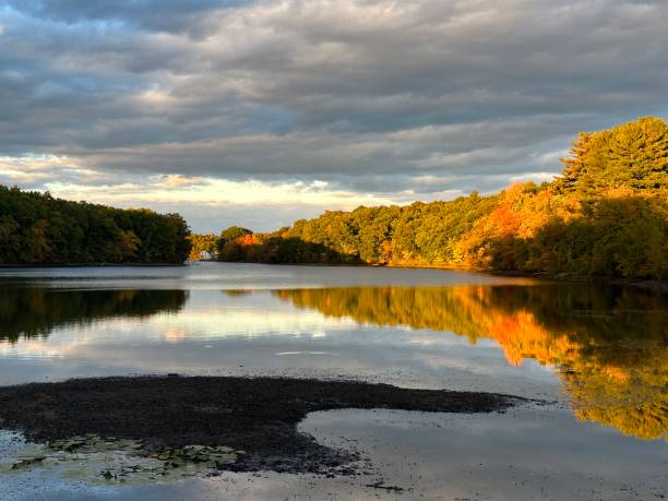 istock Foliage at Lake Cochichewick 1461502056