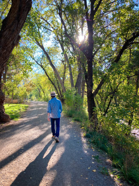 istock Southwest US: Man with Fedora Walking on Sunny Country Lane 1461504125