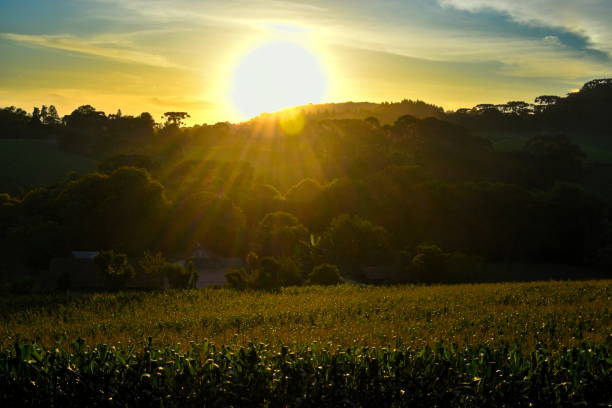 Landscape in sunset stock photo