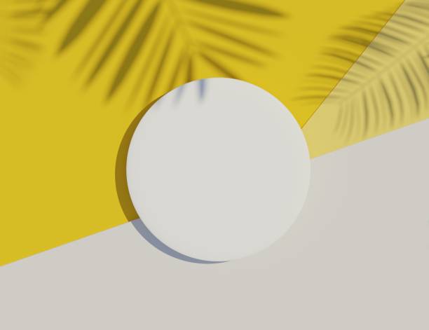 istock 3d render top view of white blank cylinder frame for mock up and display products with shadows of palm leaves with summer background. 1461511381