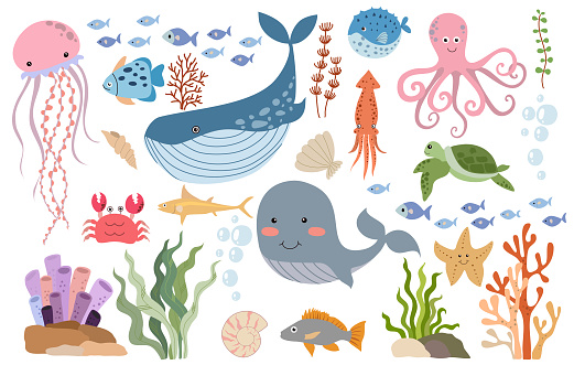 Under the sea, Cute ocean fish, Underwater wildlife creatures vector illustration set