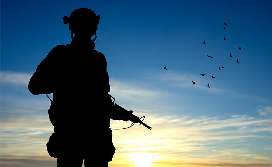 Silhouette of soldier on background of sky. Military background. Armed Forces concept. EPS10 vector