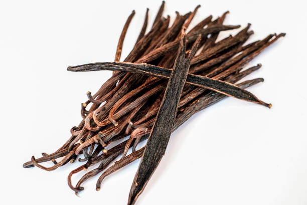 istock Vanilla Planifolia pods ,Bourbon Vanilla Dark brown black. 1461515684