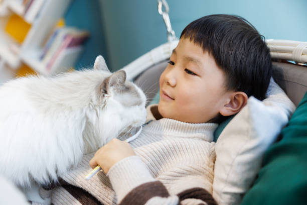istock The little boy and his cat are playing together 1461526832