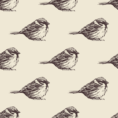 Pattern of hand-drawn birds on a milky background for printing and decoration. Vector clipart.